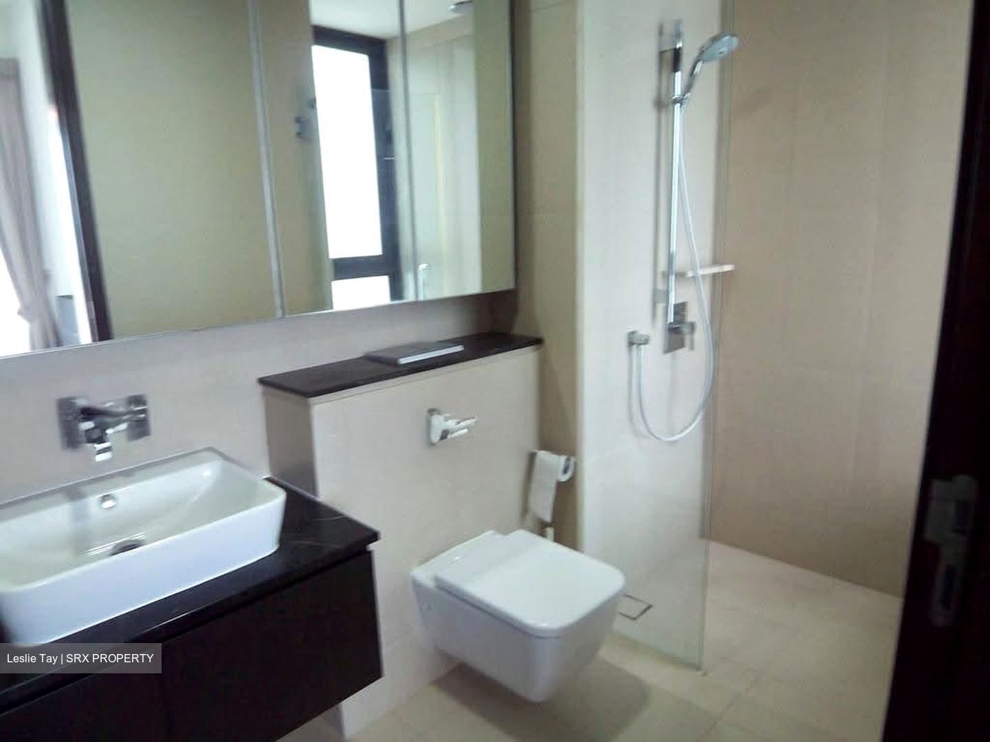 Spottiswoode Residences (D2), Condominium #614572791